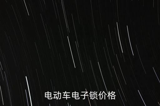 電動車電子鎖價格