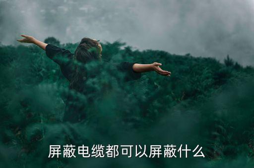 屏蔽電纜，屏蔽電纜都可以屏蔽什么