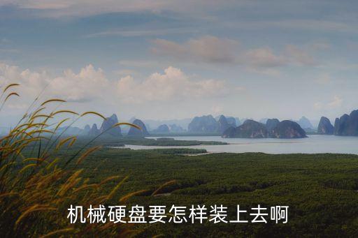 機械硬盤要怎樣裝上去啊