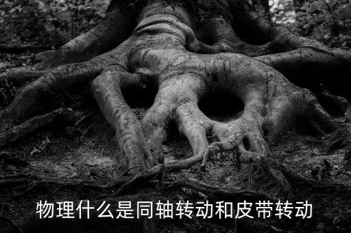 同軸轉(zhuǎn)動(dòng)，時(shí)針 分針是 同軸轉(zhuǎn)動(dòng)嗎