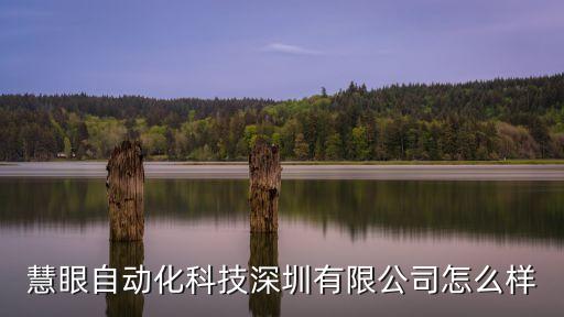 慧眼自動化科技深圳有限公司怎么樣