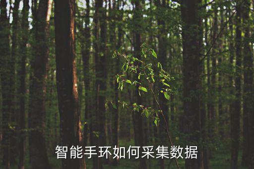 智能手環(huán)如何采集數(shù)據(jù)