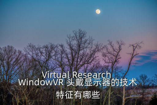 Virtual Research WindowVR 頭戴顯示器的技術特征有哪些
