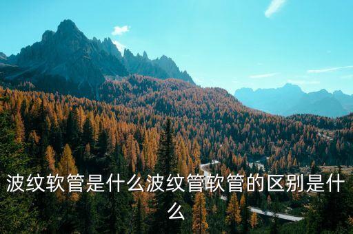 波紋軟管是什么波紋管軟管的區(qū)別是什么