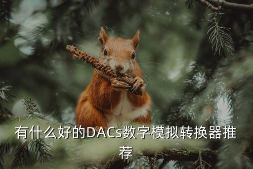 有什么好的DACs數(shù)字模擬轉(zhuǎn)換器推薦
