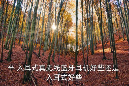 半 入耳式真無線藍牙耳機好些還是 入耳式好些