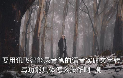 要用訊飛智能錄音筆的語音實(shí)時文字轉(zhuǎn)寫功能具體怎么操作啊  搜