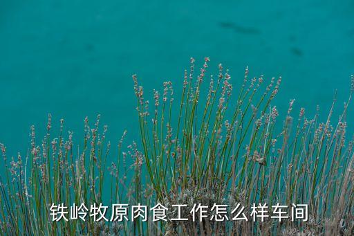  鐵嶺牧原肉食工作怎么樣車間