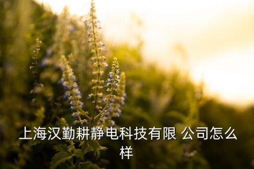  上海漢勤耕靜電科技有限 公司怎么樣