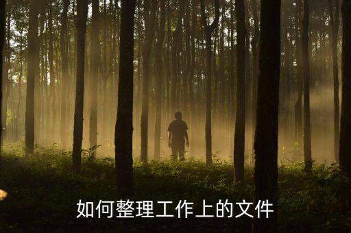 如何整理工作上的文件