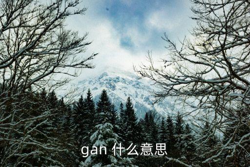 gan 什么意思