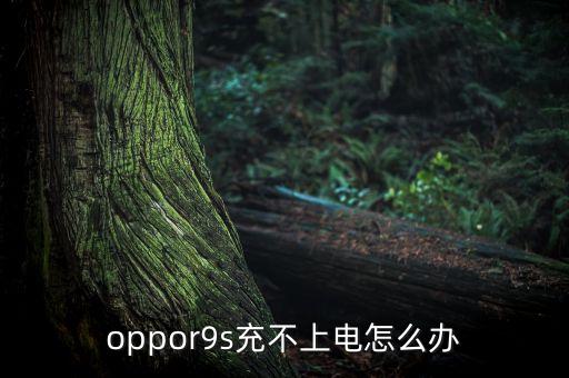 oppor9s充不上電怎么辦
