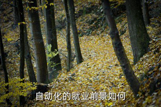 自動(dòng)化的就業(yè)前景如何