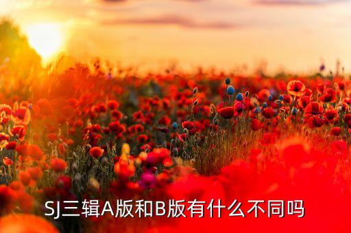 SJ三輯A版和B版有什么不同嗎