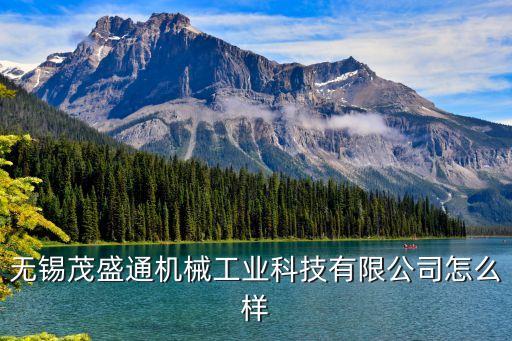 無錫茂盛通機械工業(yè)科技有限公司怎么樣
