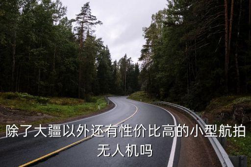 除了大疆以外還有性價比高的小型航拍無人機(jī)嗎