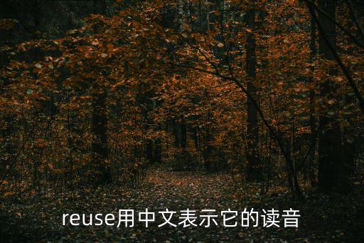 reuse，reuse的形容詞形式