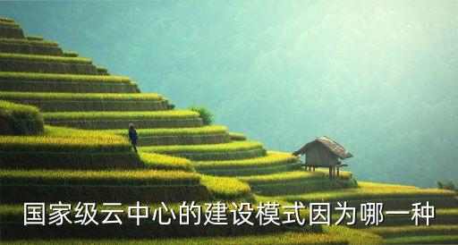 國家級云中心的建設(shè)模式因為哪一種