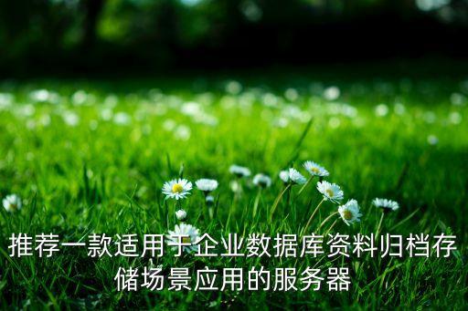 推薦一款適用于企業(yè)數(shù)據(jù)庫(kù)資料歸檔存儲(chǔ)場(chǎng)景應(yīng)用的服務(wù)器