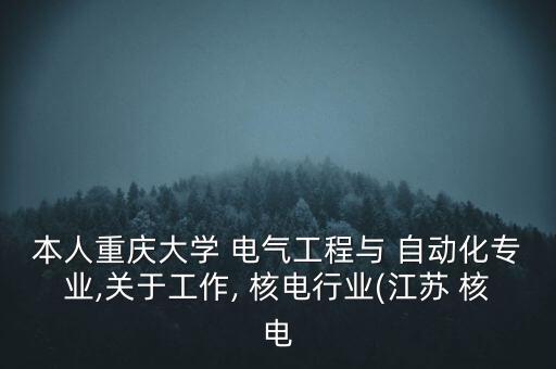 本人重慶大學(xué) 電氣工程與 自動(dòng)化專業(yè),關(guān)于工作, 核電行業(yè)(江蘇 核電