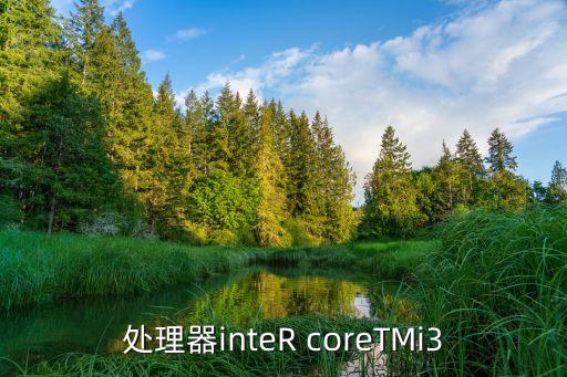處理器inteR coreTMi3