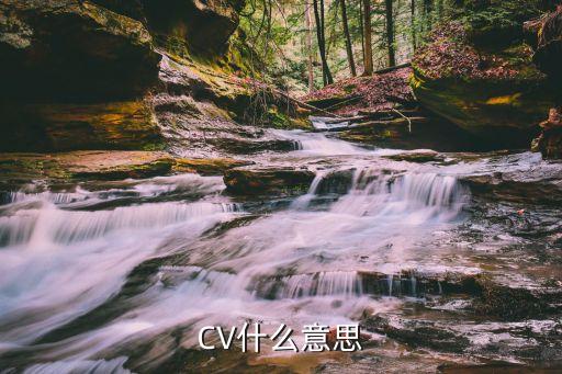 CV什么意思