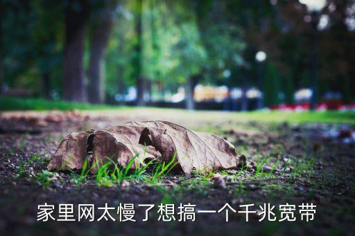 家里網(wǎng)太慢了想搞一個千兆寬帶