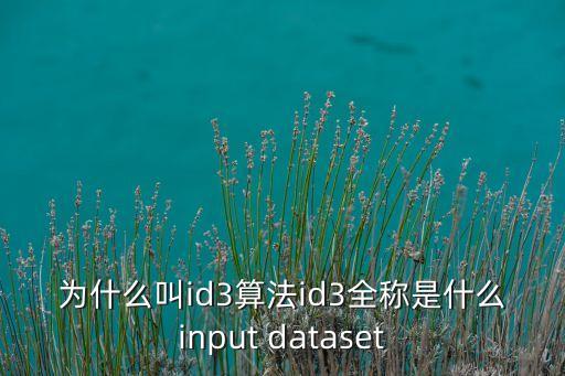 ID3，ID3是什么