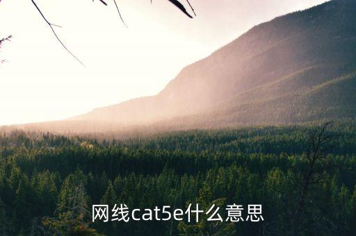 cat5e，網(wǎng)線cat5e什么意思
