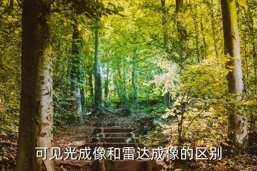 可見光成像和雷達(dá)成像的區(qū)別