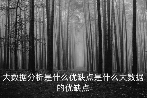 大數(shù)據(jù)分析是什么優(yōu)缺點(diǎn)是什么大數(shù)據(jù)的優(yōu)缺點(diǎn)