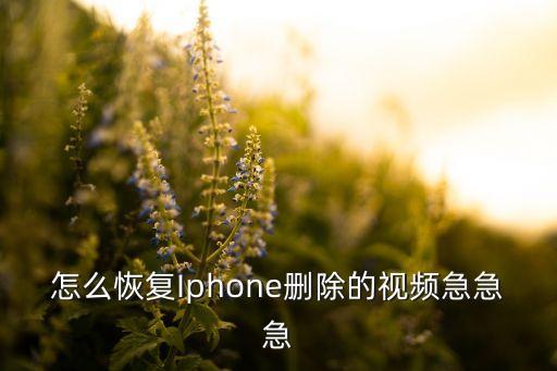 怎么恢復(fù)Iphone刪除的視頻急急急