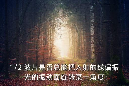 波片,光學(xué)波片與法拉第旋轉(zhuǎn)片的區(qū)別?