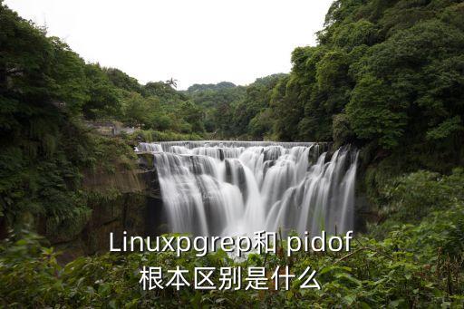Linuxpgrep和 pidof根本區(qū)別是什么