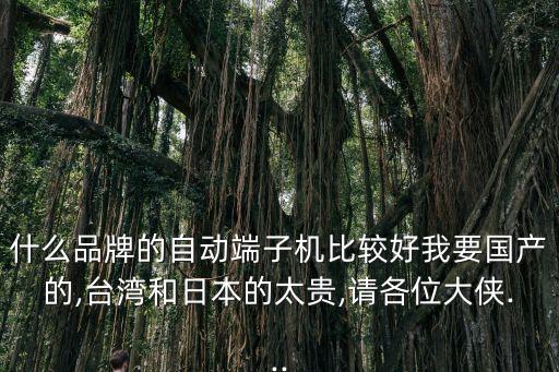 什么品牌的自動端子機(jī)比較好我要國產(chǎn)的,臺灣和日本的太貴,請各位大俠...
