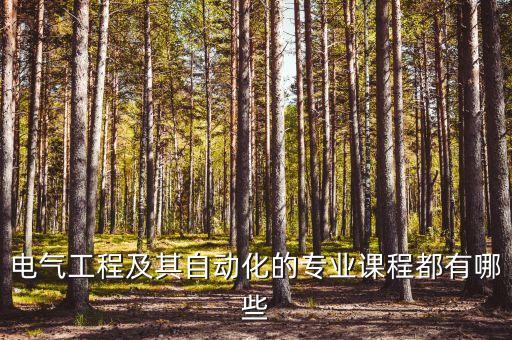 電氣工程及其自動化的專業(yè)課程都有哪些