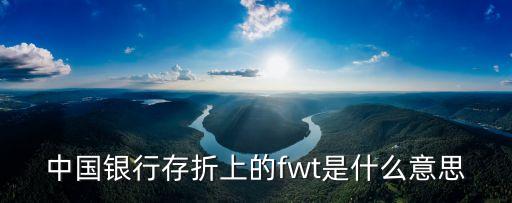 中國(guó)銀行存折上的fwt是什么意思
