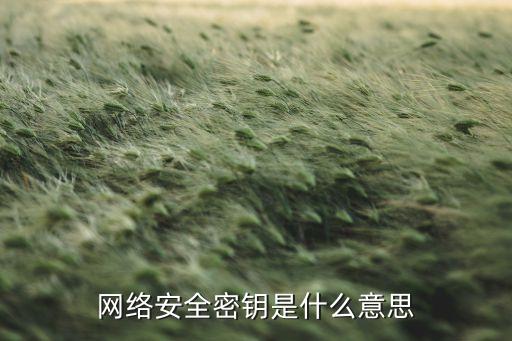 網(wǎng)絡(luò)安全密鑰是什么意思