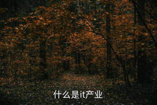 工業(yè)互聯(lián)網(wǎng)是什么，什么是it產(chǎn)業(yè)