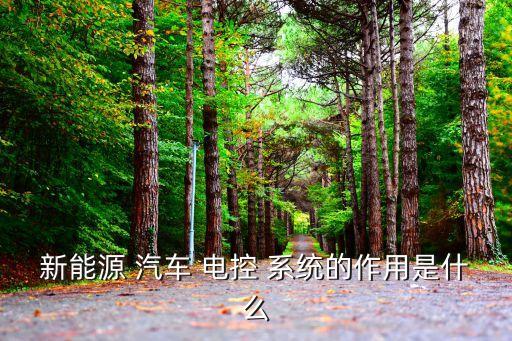 新能源 汽車 電控 系統(tǒng)的作用是什么