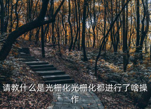 請教什么是光柵化光柵化都進(jìn)行了啥操作