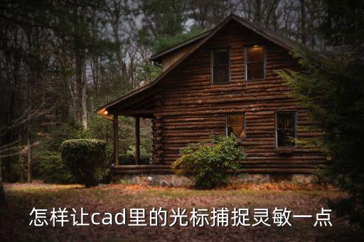 怎樣讓cad里的光標捕捉靈敏一點