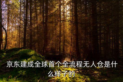 長(zhǎng)樂(lè)京東自動(dòng)化公司,京東自動(dòng)化物流倉(cāng)儲(chǔ)視頻