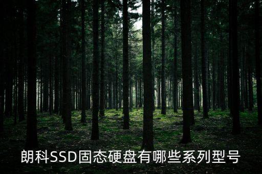 朗科固態(tài)硬盤，郎科固態(tài)硬盤256g和東芝240哪個好