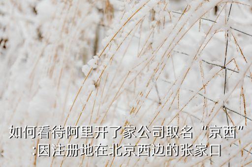 如何看待阿里開(kāi)了家公司取名“京西”:因注冊(cè)地在北京西邊的張家口