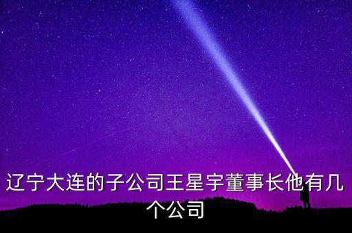 遼寧大連的子公司王星宇董事長他有幾個公司