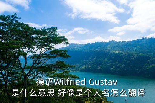 德語Wilfried Gustav 是什么意思 好像是個人名怎么翻譯