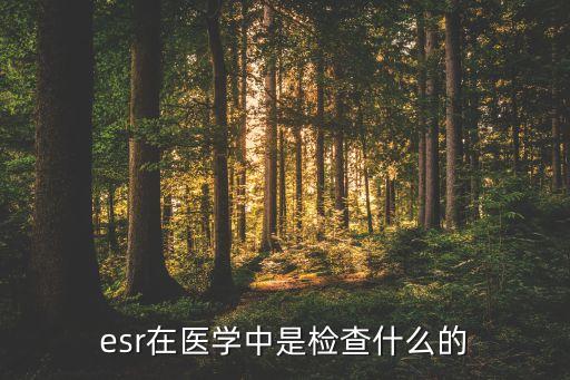 esr在醫(yī)學(xué)中是檢查什么的