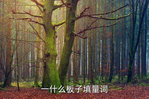 一什么板子填量詞
