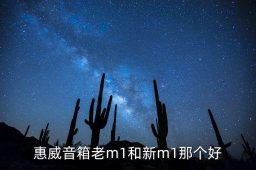 惠威音箱老m1和新m1那個(gè)好
